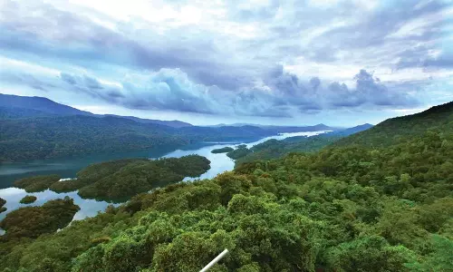 report of the expert committee, Buffer Zone expert committee report,  expert committee will be submitted to the Chief Minister today, breaking news malayalam