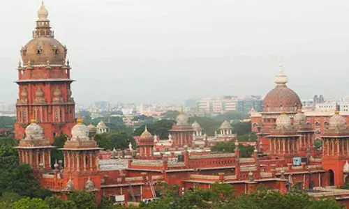 No More Acquisition Of Elephants By Individuals and Temples Madras High Court order