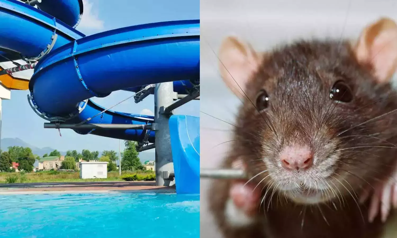 Health Minister orders to temporarily close water theme park in Athirappily Health Minister orders to temporarily close water theme park in Athirappily