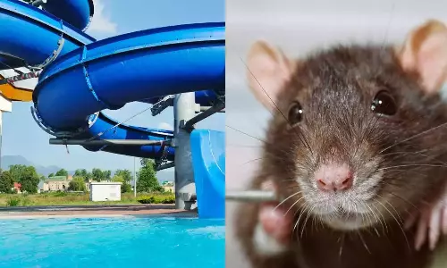 Health Minister orders to temporarily close water theme park in Athirappily