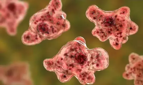 amoeba, florida, health