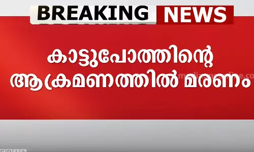 Tribal youth dies after being attacked by wild buffalo in Kothamangalam