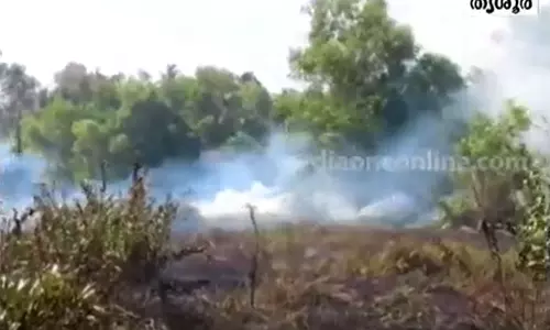 തൃശൂർ മാളയിൽ തീപിടിത്തം; 35 ഏക്കർ പാടം കത്തി