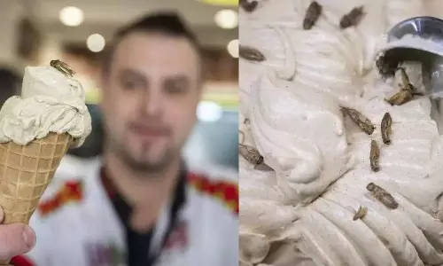 German ice cream parlor introduces cricket-flavored icecream