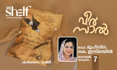 വീര്‍സാല്‍: നോവല്‍