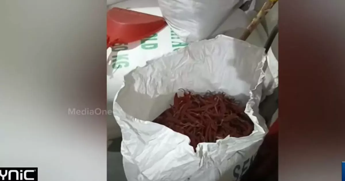It is alleged that chillies were smuggled from Maveli store in Ramanatukara