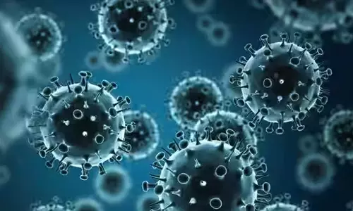 Indias First H3N2 Influenza Deaths, 1 Each In Haryana, Karnataka, breaking news, latest malayalam news, എച്ച് 3 എൻ 2 ബാധിച്ച് രാജ്യത്ത് രണ്ട് മരണം; ഇന്ത്യയിൽ ഇതാദ്യം, ബ്രേക്കിംങ് ന്യൂസ്