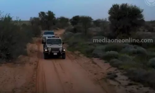 Saudi strictly monitors violations of environmental laws