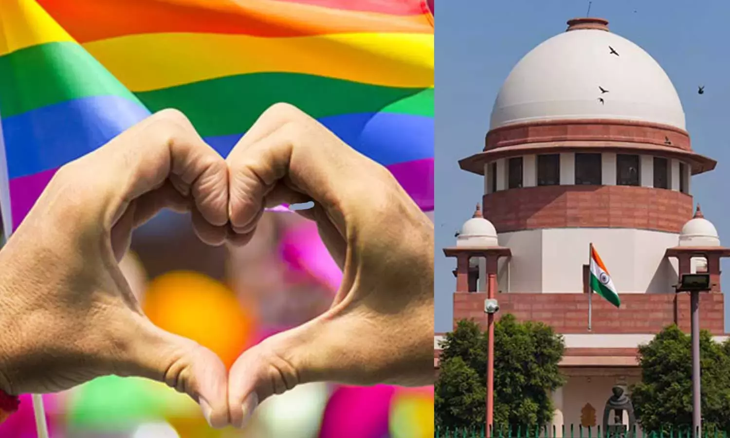 Legal recognition,  same-sex marriage, Supreme Court , petitions,