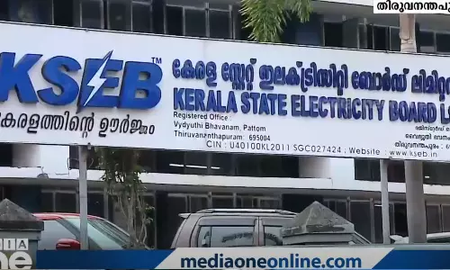 Contractual employees of KSEB,  strike protesting,  delay  salary, kseb,