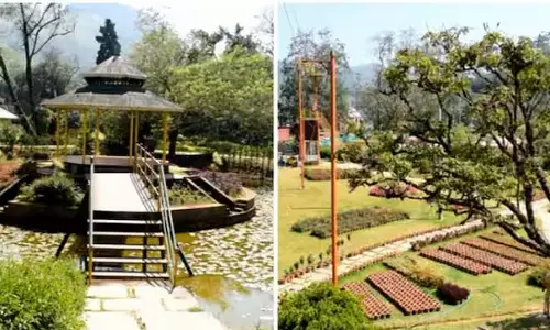 റവന്യൂ വകുപ്പും ഹൈക്കോടതിയും തടഞ്ഞ ഹൈഡൽ പാർക്കിന്റെ നിർമാണ പ്രവർത്തനങ്ങൾ പുനരാരംഭിച്ച് മൂന്നാർ സർവീസ് സഹകരണ ബാങ്ക്