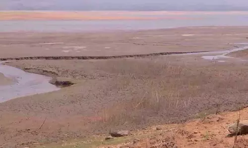palakkad malambuzha dam water shortage
