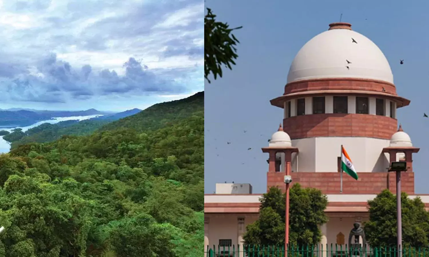 Supreme court on bufferzone issue Supreme court on bufferzone issue