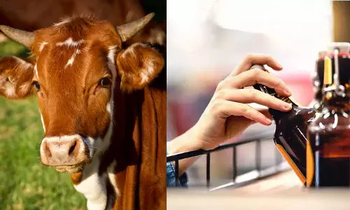 Himachal imposesHimachal imposes