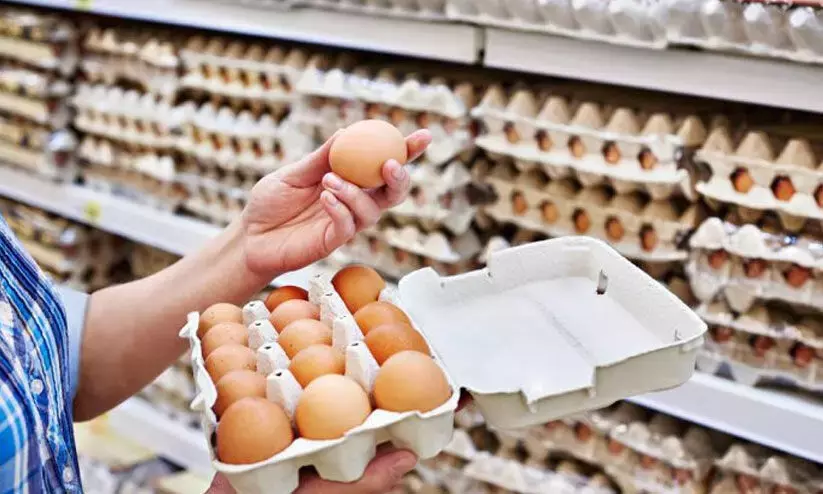 യു.എ.ഇയിൽ മുട്ടവില കൂടും; 13% വിലവർധനക്ക് അനുമതി യു.എ.ഇയിൽ മുട്ടവില കൂടും; 13% വിലവർധനക്ക് അനുമതി