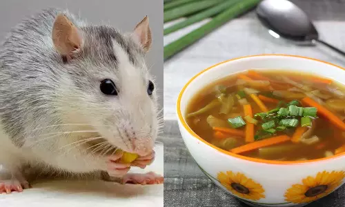 Rat In Soup,  Rat In Soup Served At US Restaurant,Woman Finds Rat In Soup Served At US Restaurant,സൂപ്പിൽ ചത്ത എലി; യുവതിയുടെ പരാതിയിൽ റെസ്റ്റോറന്റ് അടച്ചുപൂട്ടി,breaking news malayalam,latest news malayalam