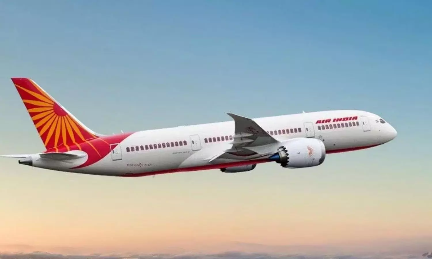 Air India, suspends, additional services, air fares, Air India, suspends, additional services, air fares,