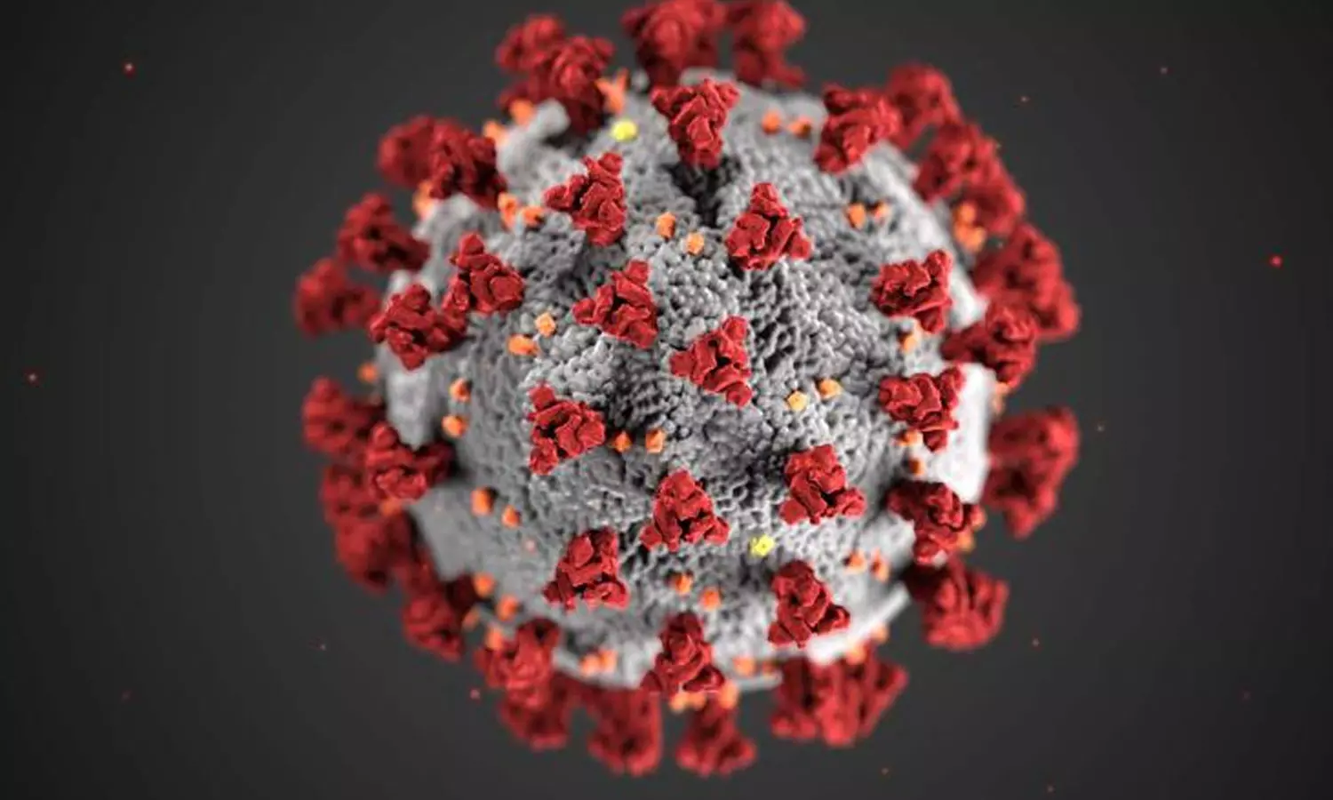 Health,Veena George, covid Health,Veena George, covid