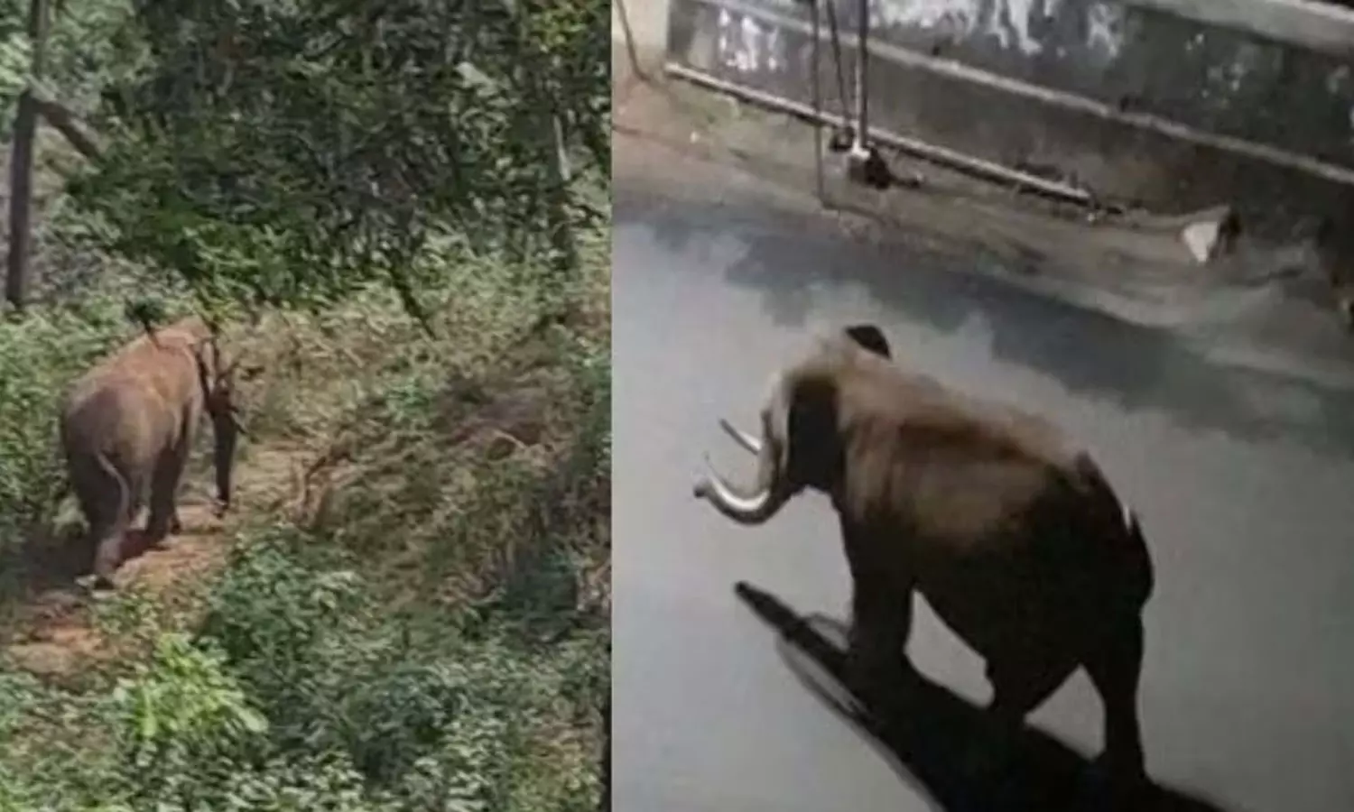 rikompans drug shooting has been postponed to Sunday, breaking news malayalam