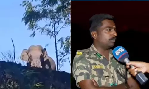 Idukki forest Watchers about arikkomban elephant