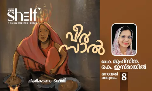 വീര്‍സാല്‍ - നോവല്‍