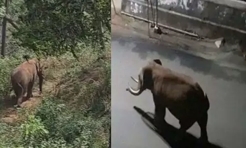 rikompans drug shooting has been postponed to Sunday, breaking news malayalam