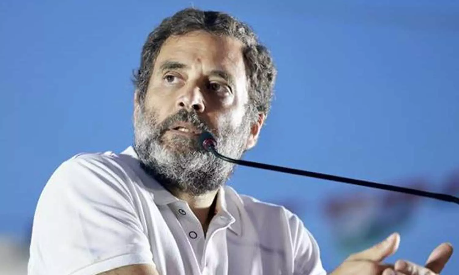 HowdoMPsgetdisqualified?, Howdopeoplesrepresentativesgetdisqualified?, RahulGandhisdisqualification, RahulGandhidisqualification HowdoMPsgetdisqualified?, Howdopeoplesrepresentativesgetdisqualified?, RahulGandhisdisqualification, RahulGandhidisqualification