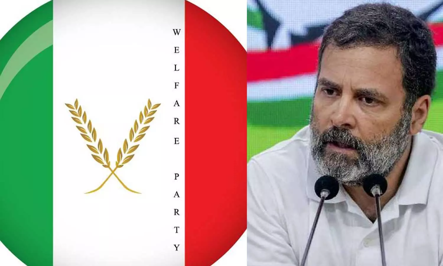 രാഹുൽ ഗാന്ധിയുടെ ലോക്സഭാ അംഗത്വം റദ്ദാക്കിയ നടപടി ജനാധിപത്യക്കൊല-വെൽഫെയർ പാർട്ടി രാഹുൽ ഗാന്ധിയുടെ ലോക്സഭാ അംഗത്വം റദ്ദാക്കിയ നടപടി ജനാധിപത്യക്കൊല-വെൽഫെയർ പാർട്ടി