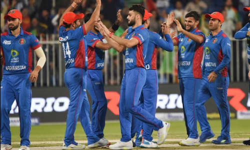 PAK vs AFG, Afgan Cricket