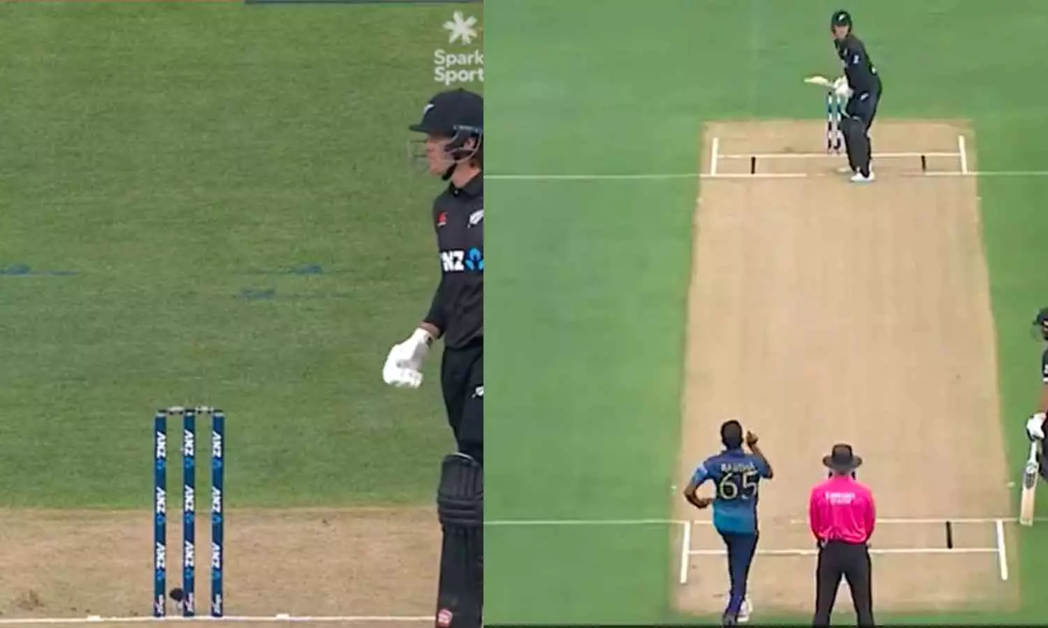 New Zealand vs Sri Lanka,Fin Allen