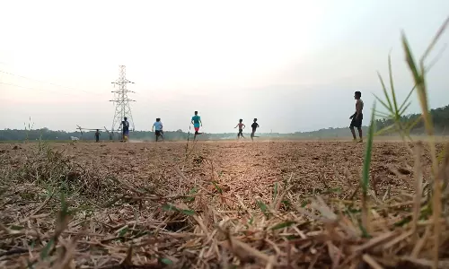 വേനലിൽ വാടാതിരിക്കാൻ ചെയ്യേണ്ടതെല്ലാം