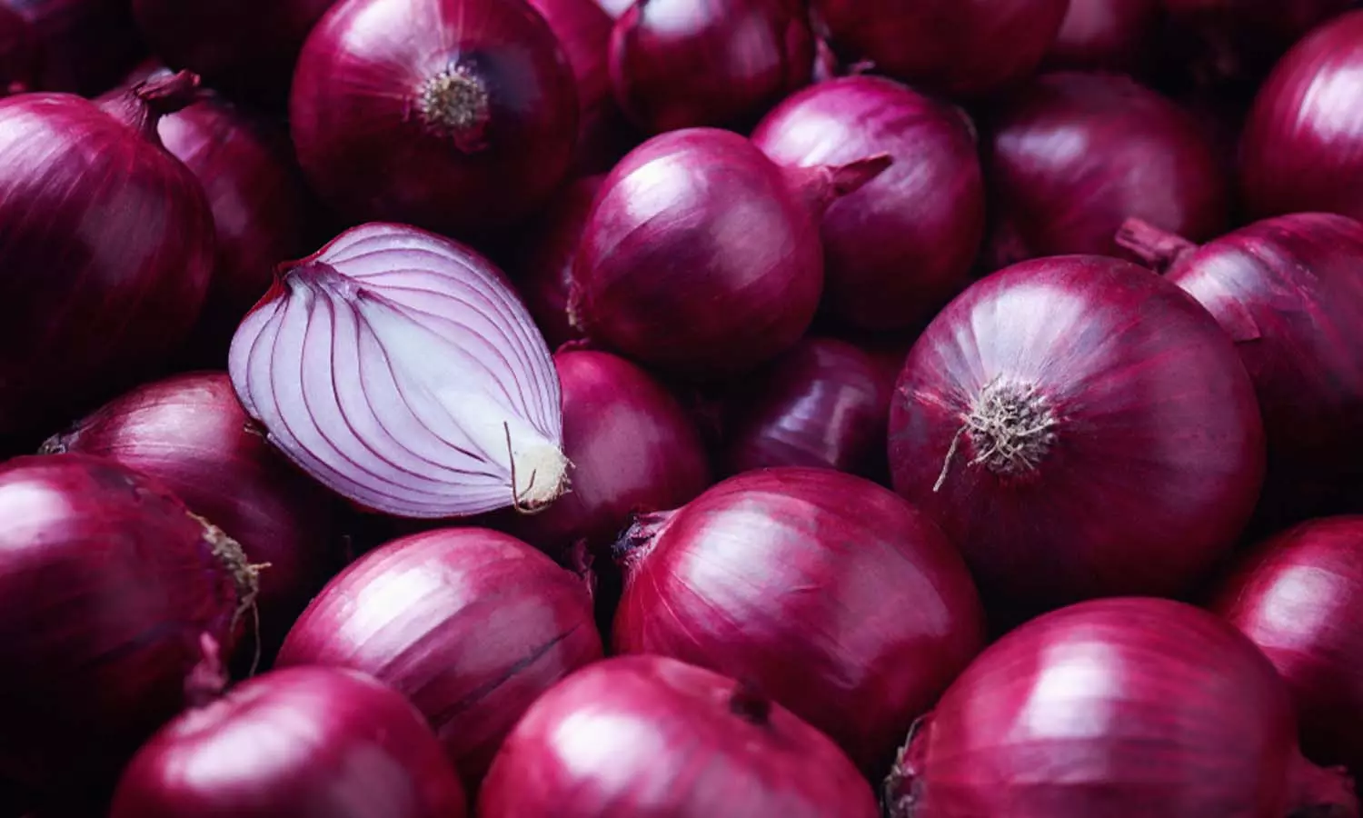 onion_cholesterol onion_cholesterol