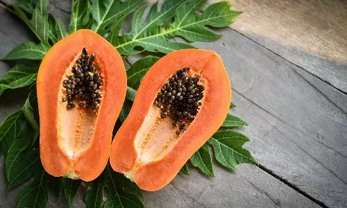 Papaya_break a fast