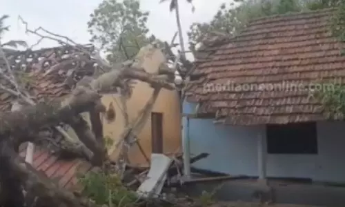Tree fell on top of the school in alappuzha