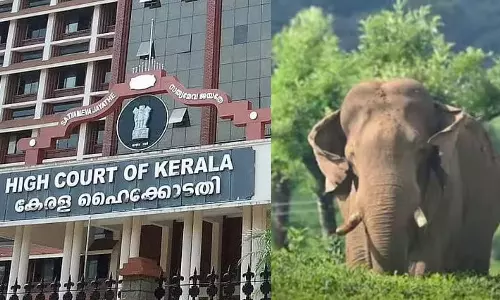 The High Court said that arresting Arikompan will not solve the problem,