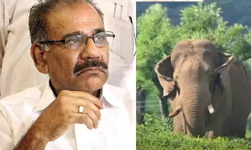 ant set up radio collars without catching rice bug: AK Saseendran, breaking news malayalam