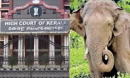 Arikompan can be drugged just for putting on a radio collar: High Court