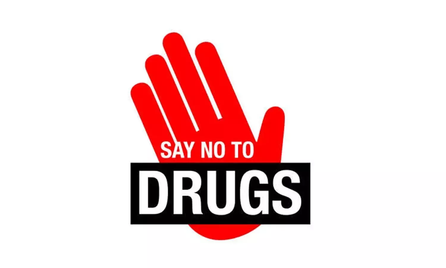 drug hunt, Kochi, MDMA, drugs