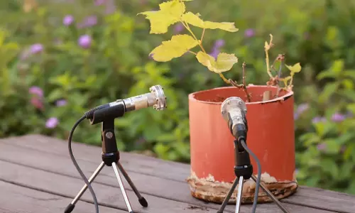 ചെടികൾ കരയും, സമീപത്തുള്ളവ കേൾക്കും; പഠനവുമായി ഇസ്രായേൽ ശാസ്ത്രജ്ഞർ
