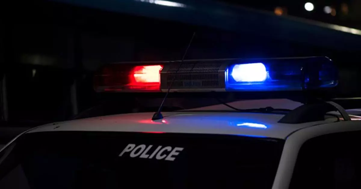 Bodies of those killed in the police encounter were cremated in Uttar Pradeshs Prayagraj