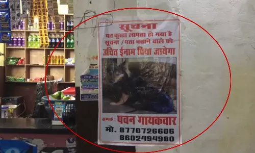 ഐഎഎസ് ഓഫീസറുടെ പട്ടിയെ കാണാതായി; പോസ്റ്റർ പതിച്ചും പാരിതോഷികം പ്രഖ്യാപിച്ചും പൊലീസിന്റെ വ്യാപക തെരച്ചിൽ