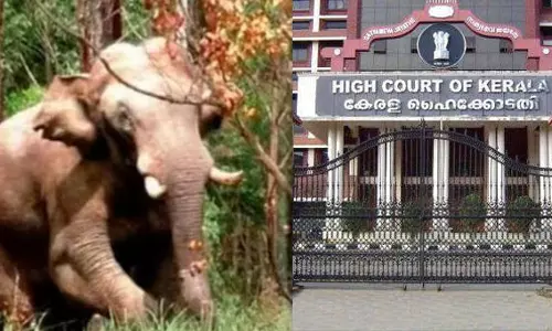 Highcourt on arikkomban issue
