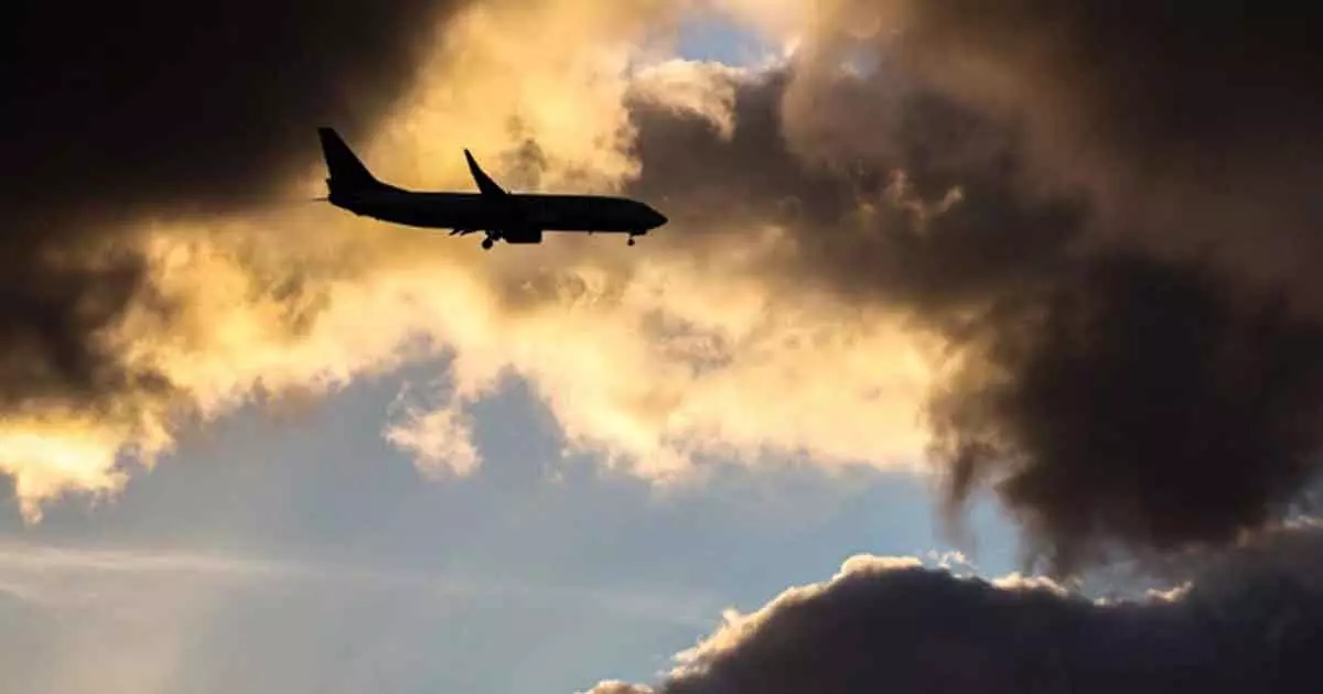 Deadly cobra in cockpit pilot made emergency landing