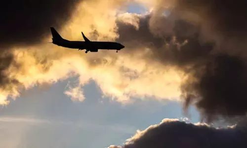 Deadly cobra in cockpit pilot made emergency landing