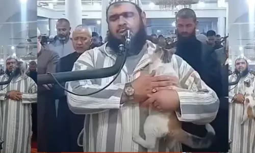 നമസ്‌കാരത്തിനിടയിൽ ഇമാമിന്റെ ചുമലിൽ കയറി പൂച്ച; അൾജീരിയയിൽനിന്നൊരു കൗതുകക്കാഴ്ച