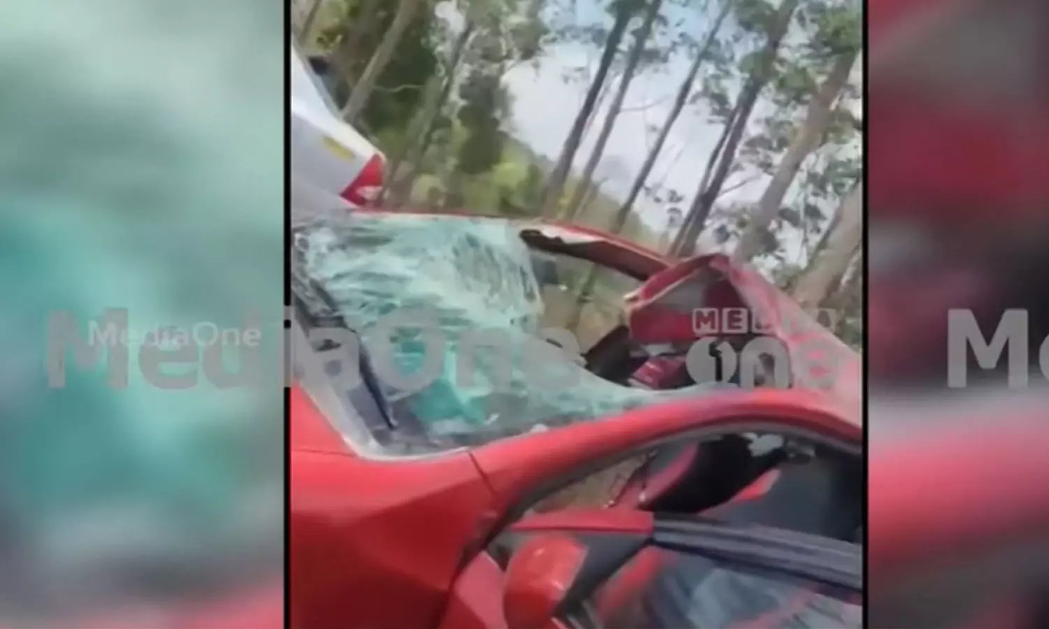 A spotted deer jumped on top of a car that was running in Muthanga; Passengers injured, breaking news malayalam A spotted deer jumped on top of a car that was running in Muthanga; Passengers injured, breaking news malayalam