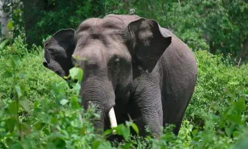 Protest against transfer of rice paddies to paddy fields; Peoples hartal in Mutamada Panchayat