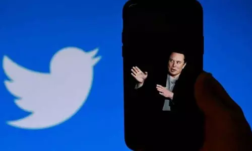 Twitter Blue Bird Logo back