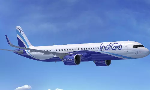 Complaint that the passenger tried to open the door of the plane during the flight