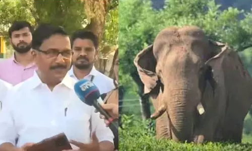 Chalakudy MLA said not to leave rice paddies open in paddy fields. Babu